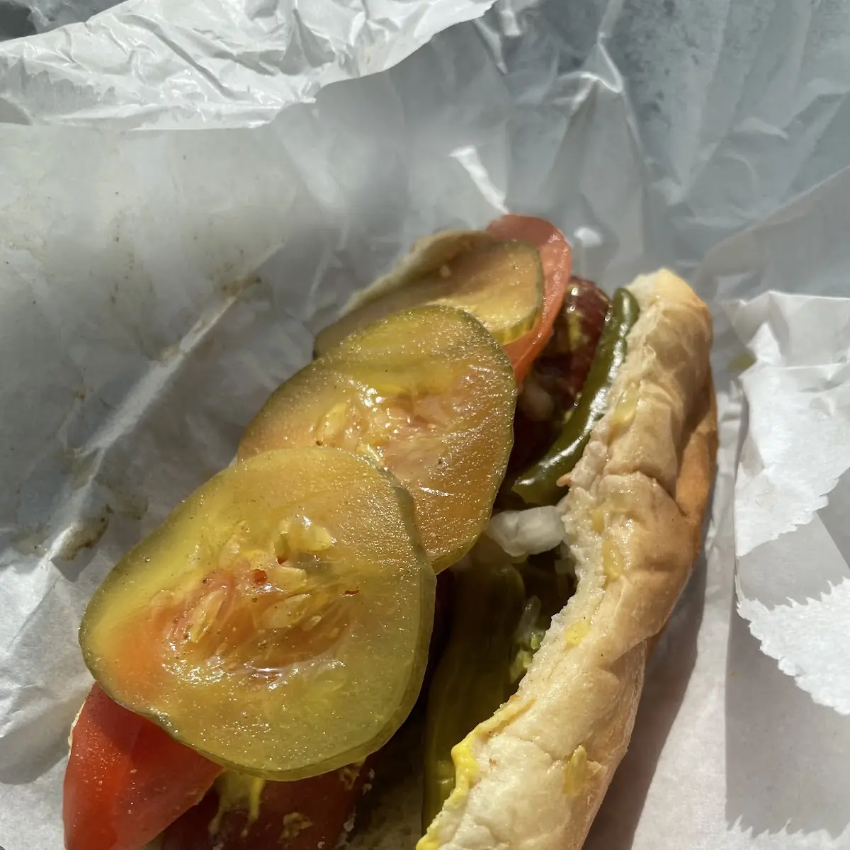 Chicago Hot Dog
