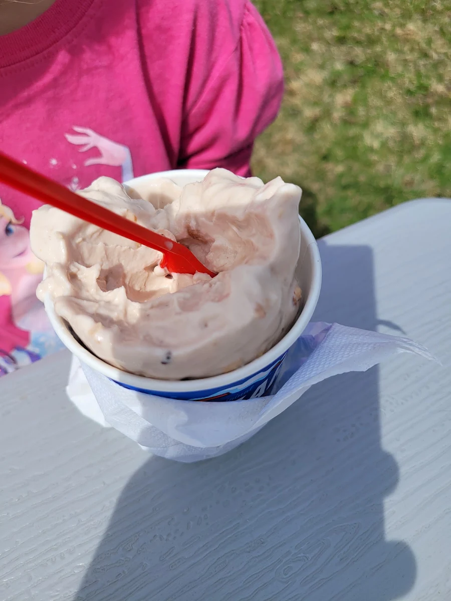 Cookie Dough Blizzard