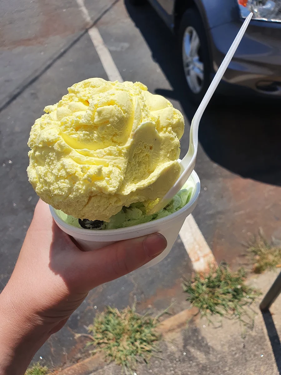 Cake Batter and Mint Chocolate Chip Ice Cream in a Cup
