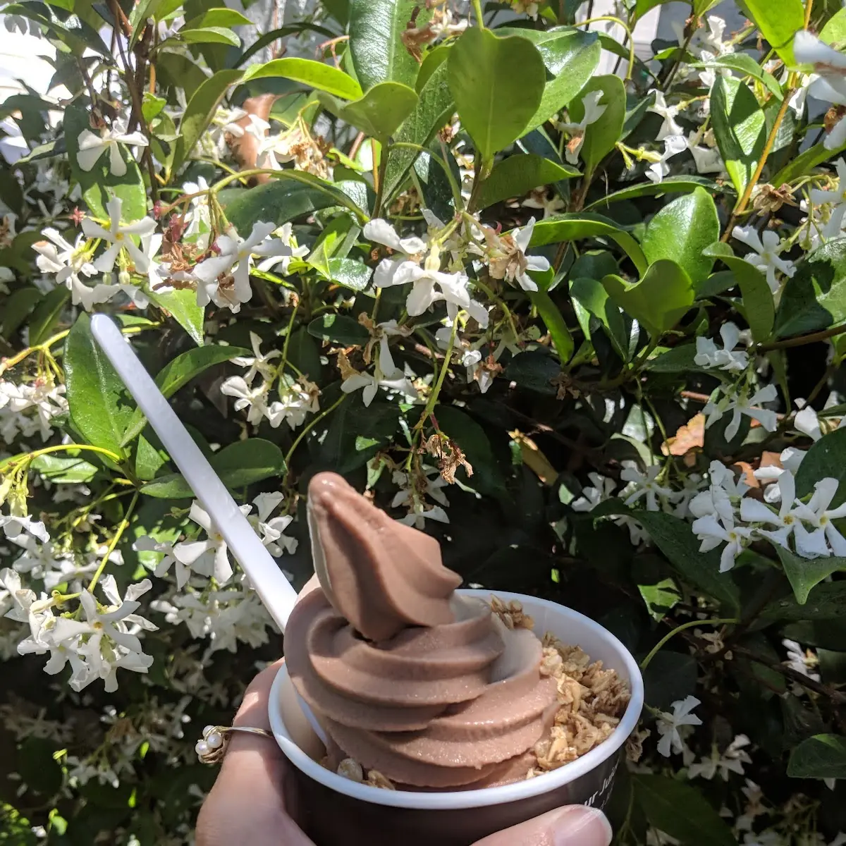 Vegan Friendly