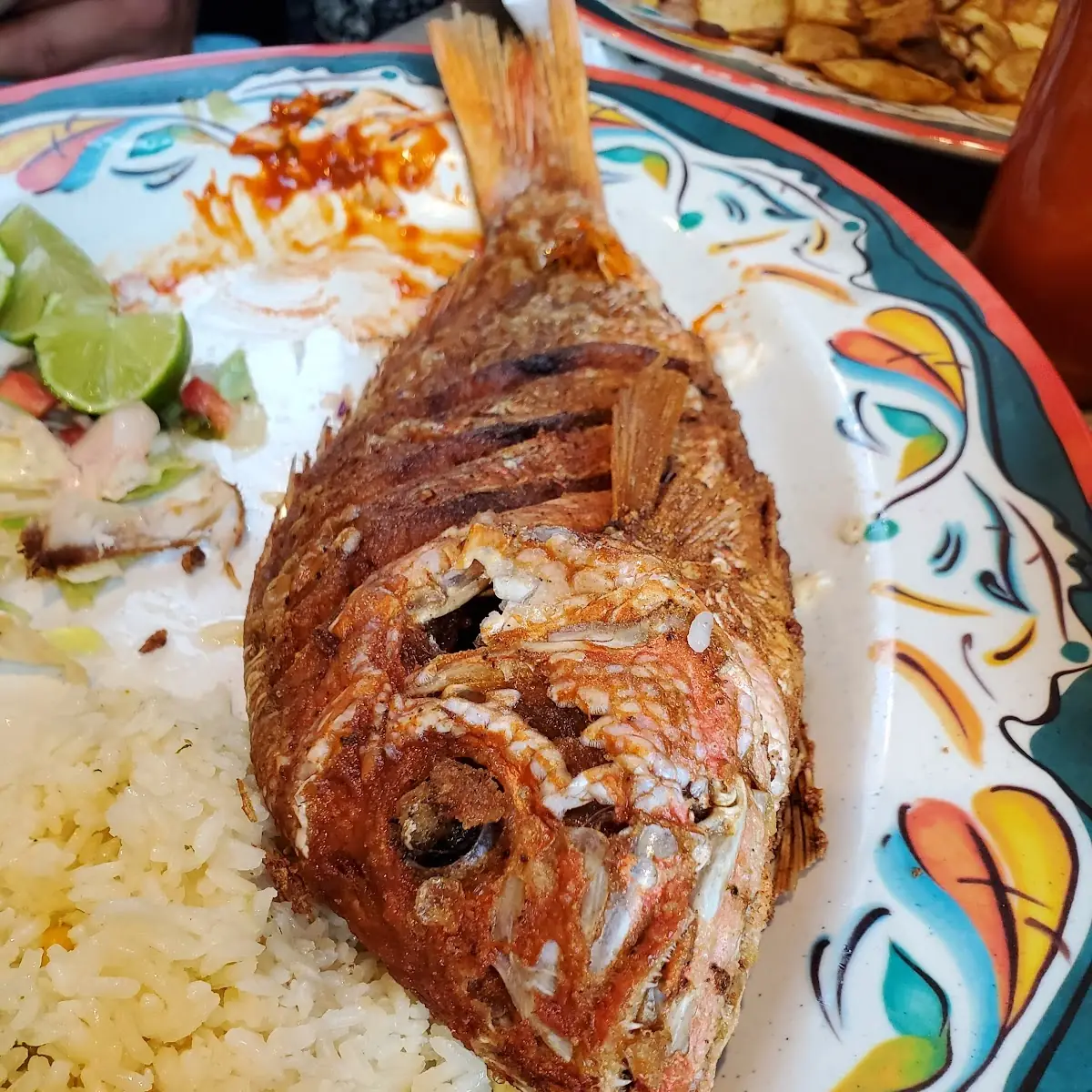 Red Snapper