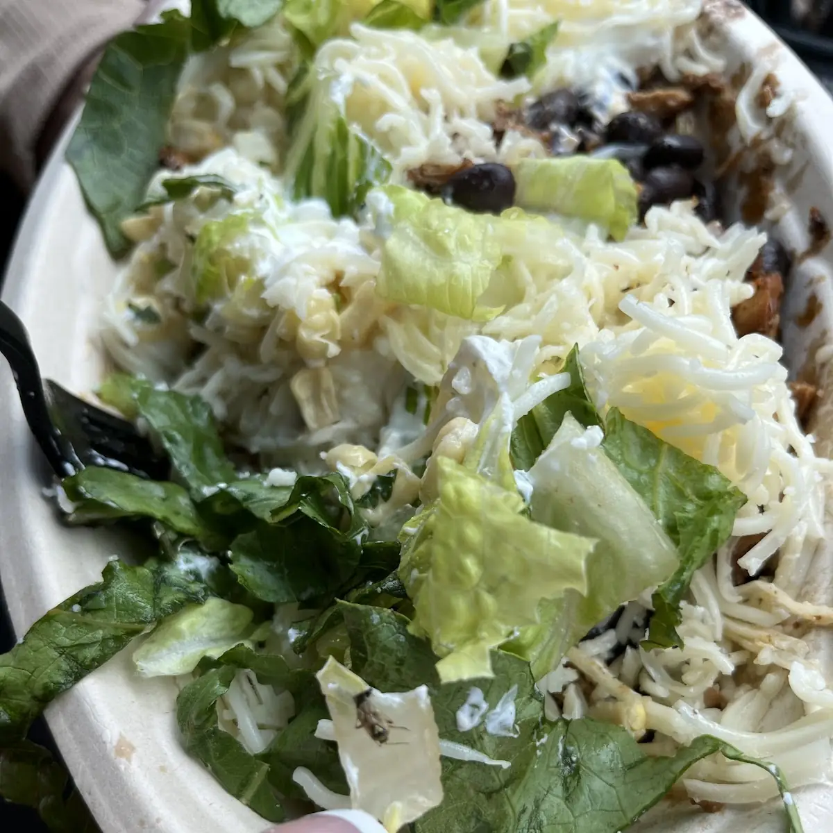 Caesar Salad