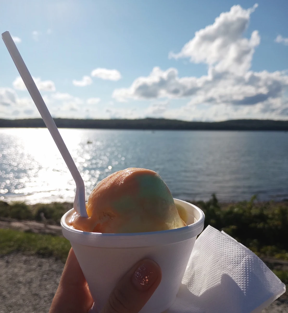 Rainbow Sherbet