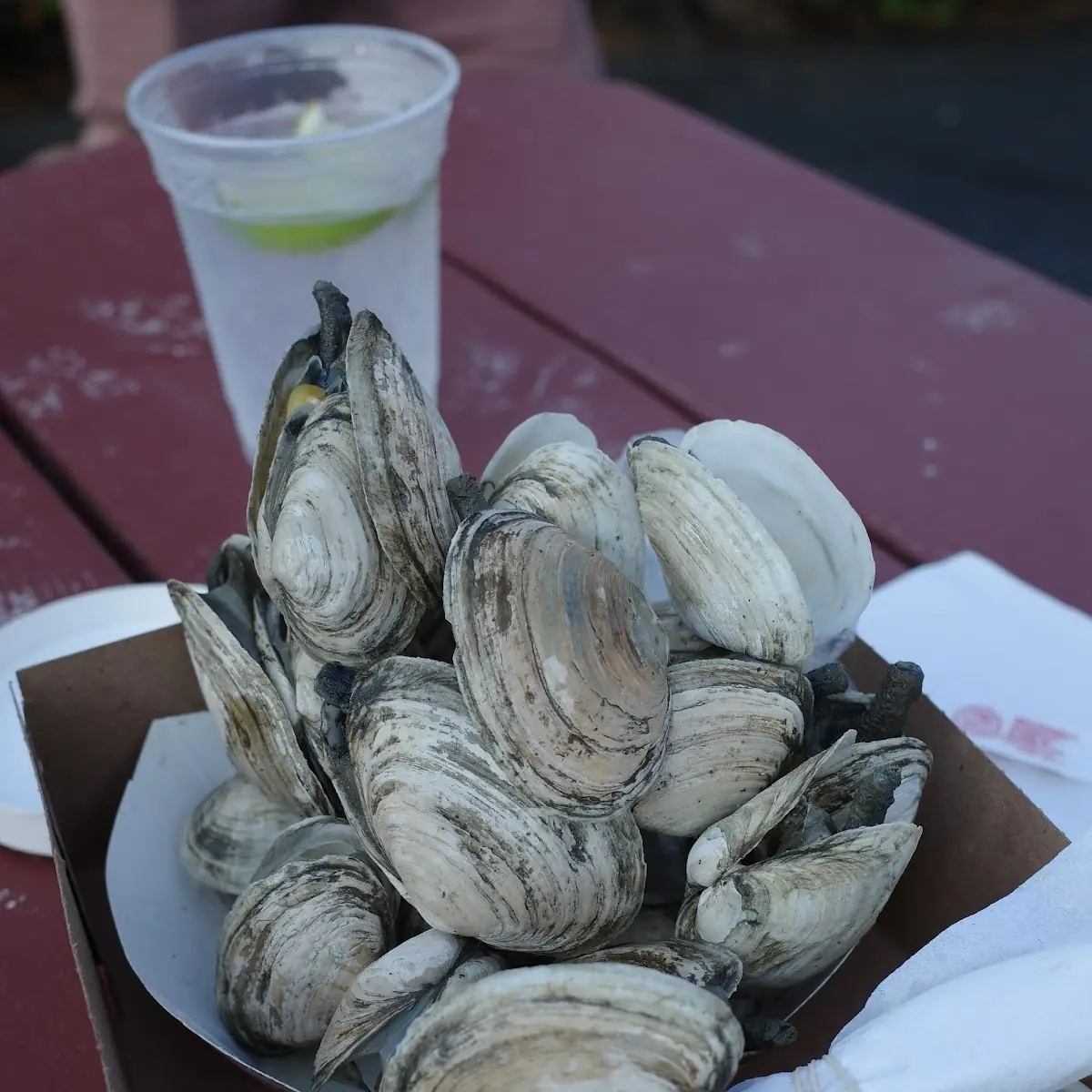 Steamed Clams
