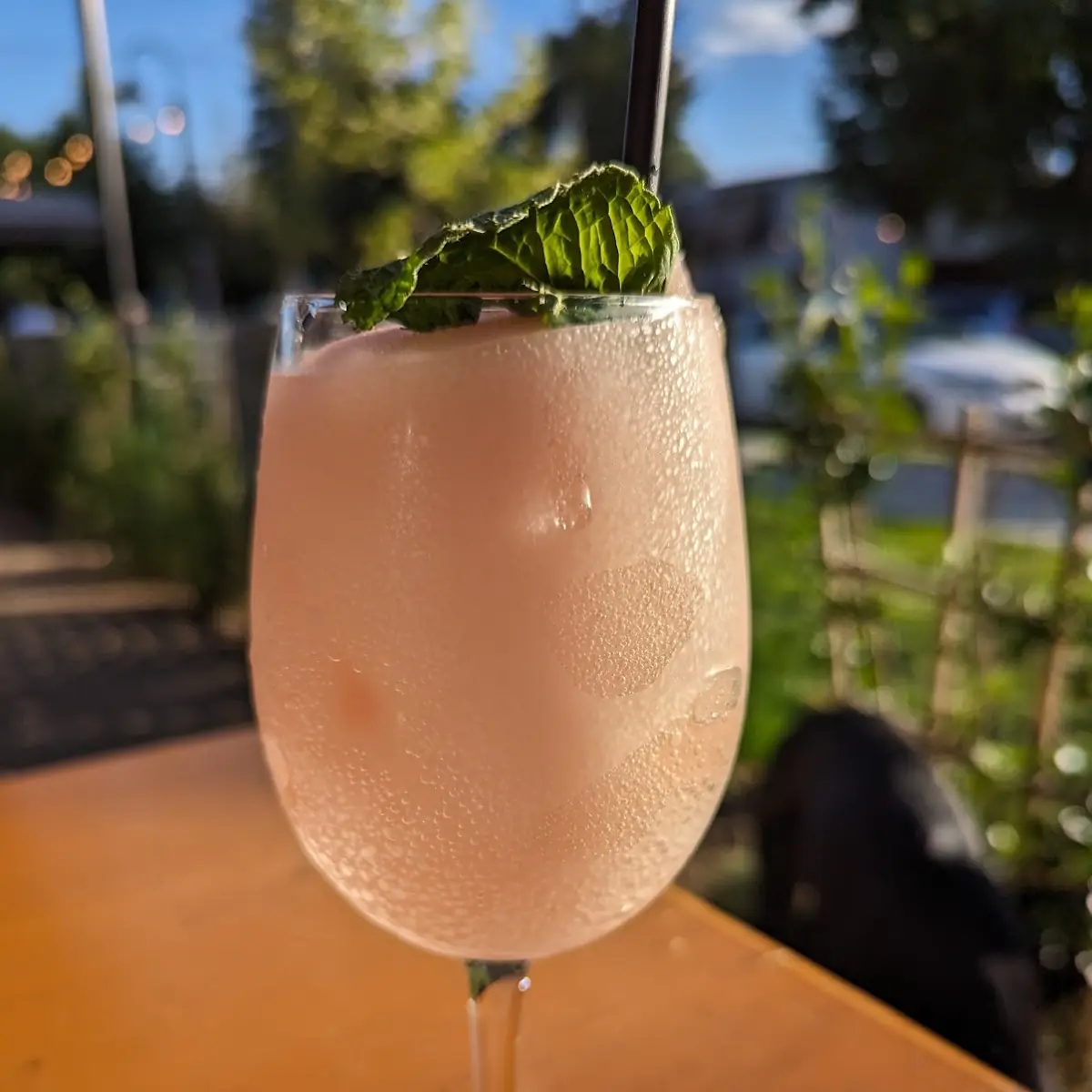 Frozen Margarita