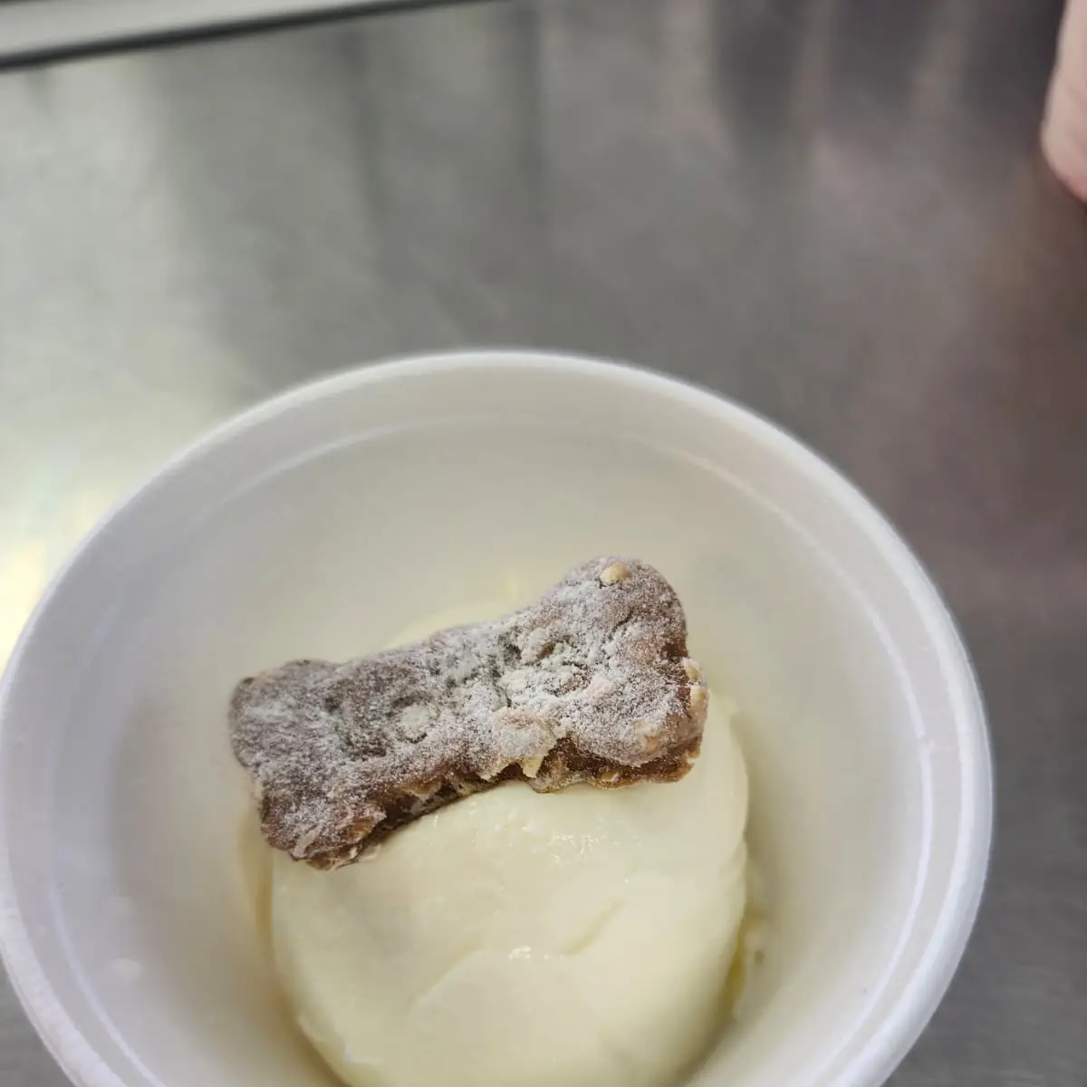 Frozen Custard