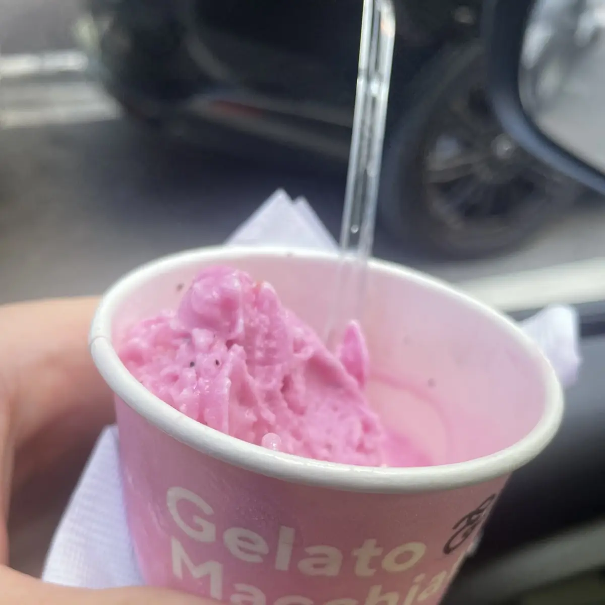 Dragonfruit Gelato