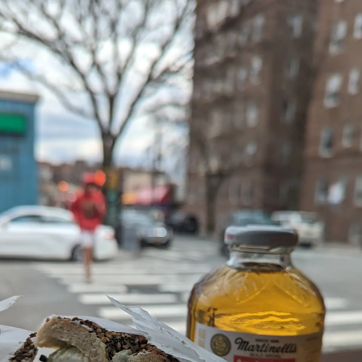 Everything Bagel with Scallions