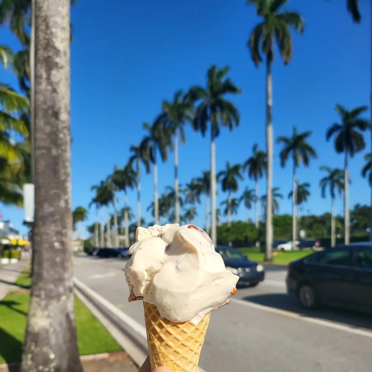 Butter Pecan Ice Cream