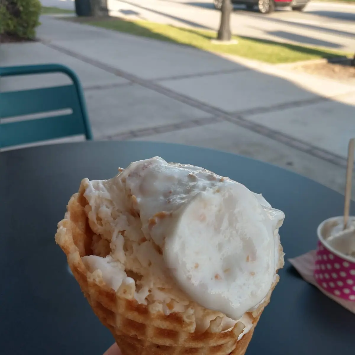 Toasted Coconut Ice Cream
