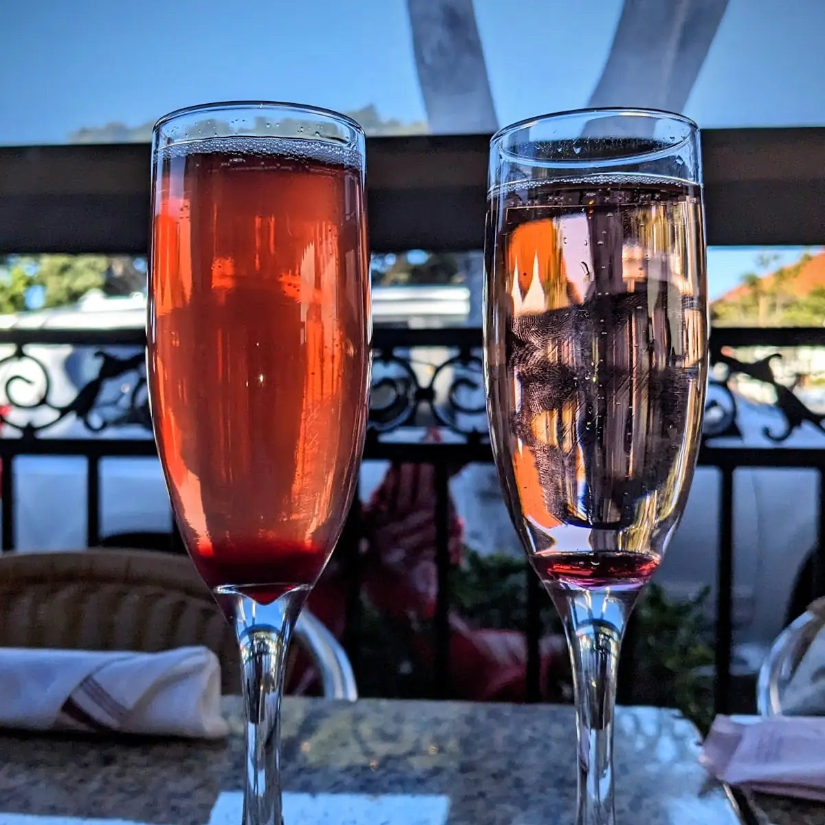 Orange Mimosa