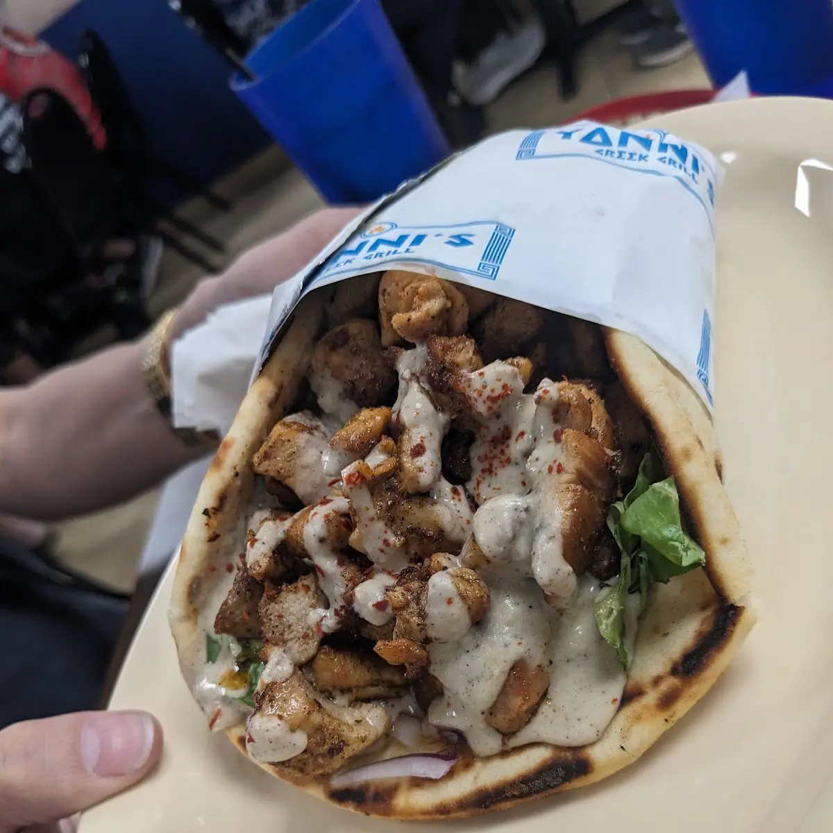 Beef Gyro with Tzatziki Sauce