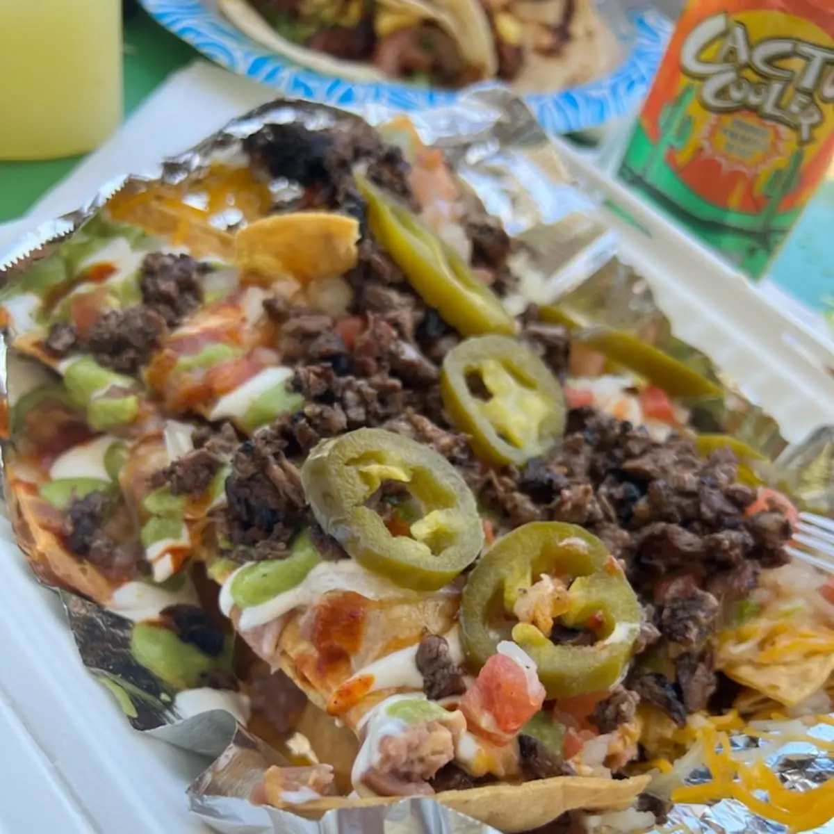 Carne Asada Fries
