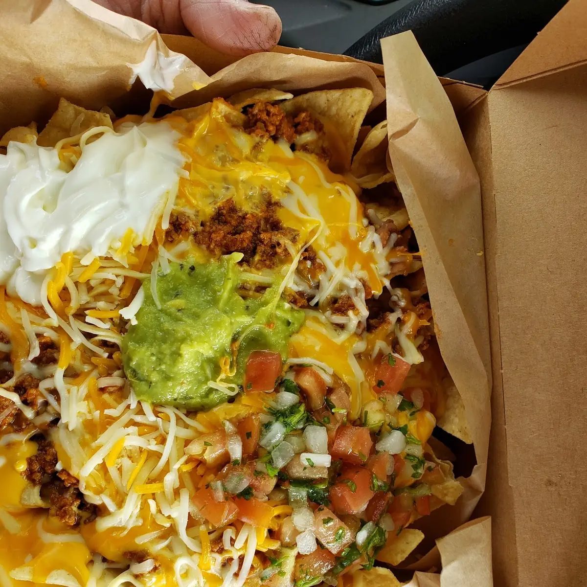 Carne Asada Fries