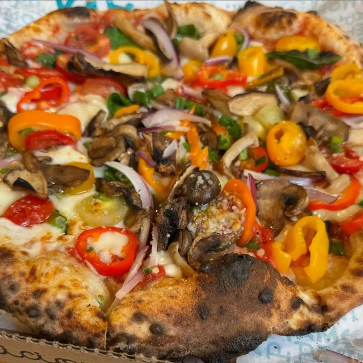 Veggie Pizza