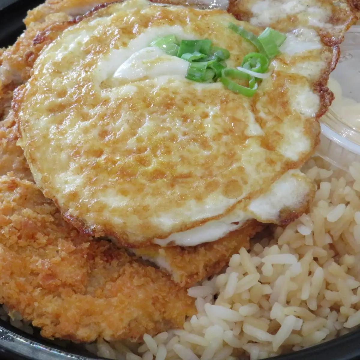 Katsu Don