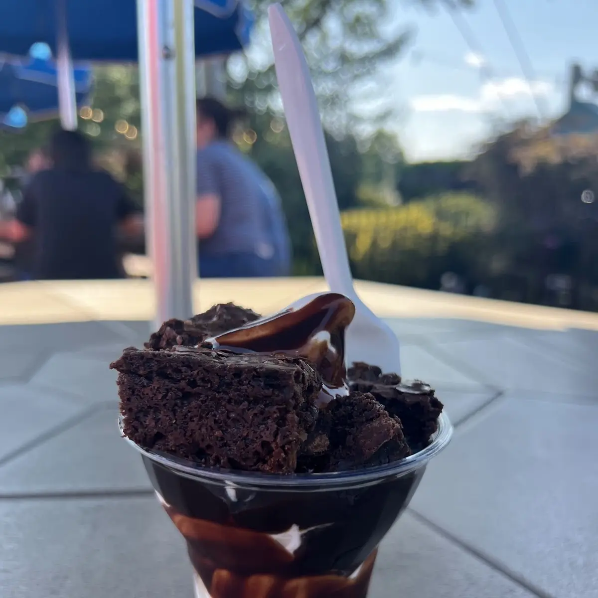 Brownie Delight