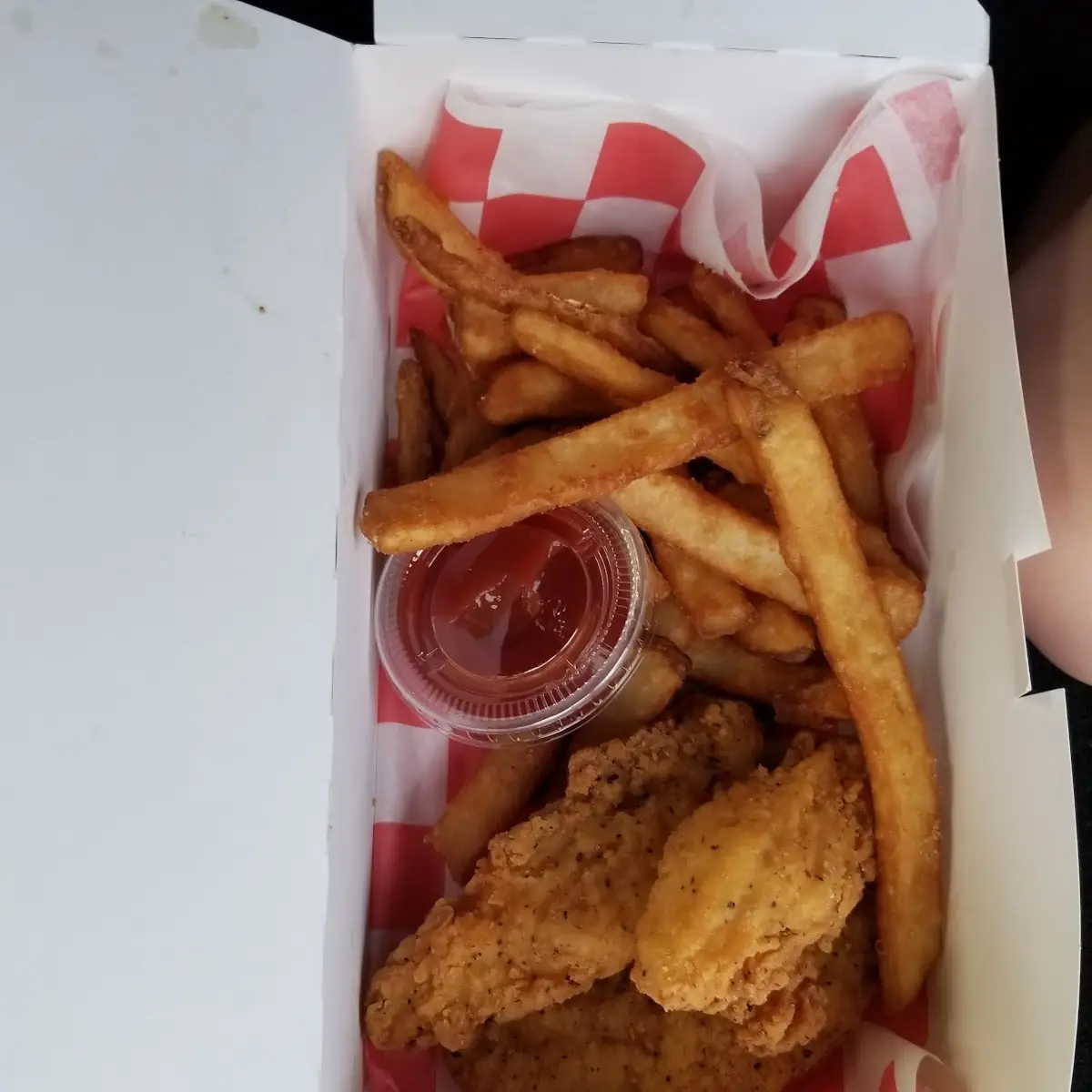 Chicken Tenders and Fries