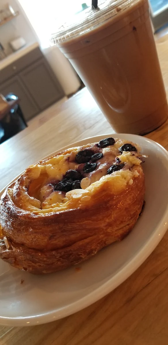 Blueberry Muffin