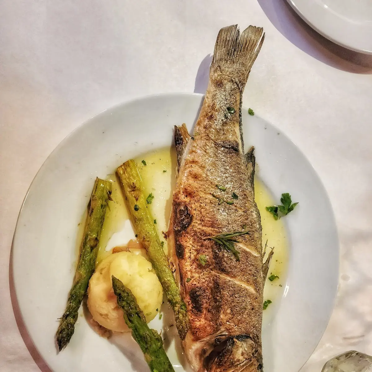 Sea Bass