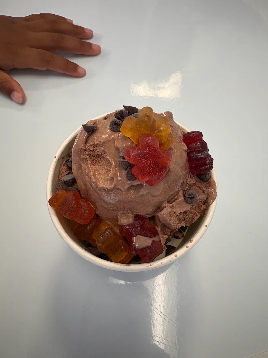 Chocolate Ice Cream