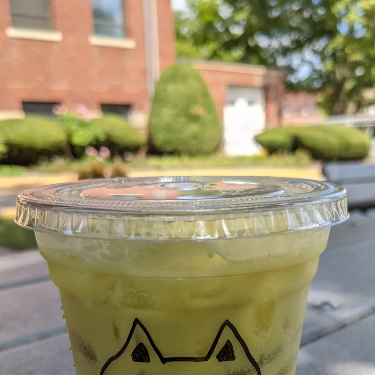 Mango Green Tea Slush