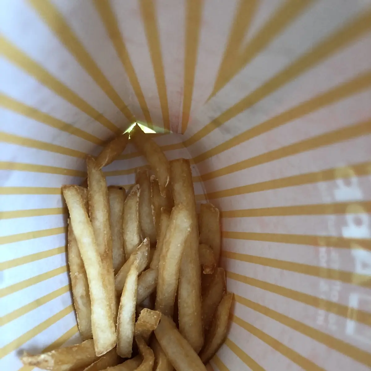 World Famous Fries