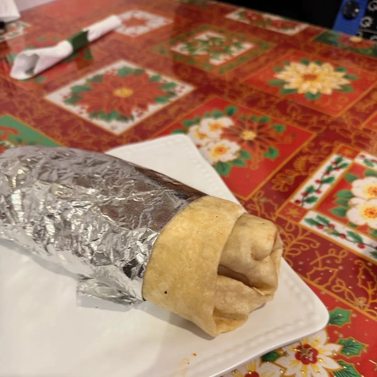 Birria Burrito
