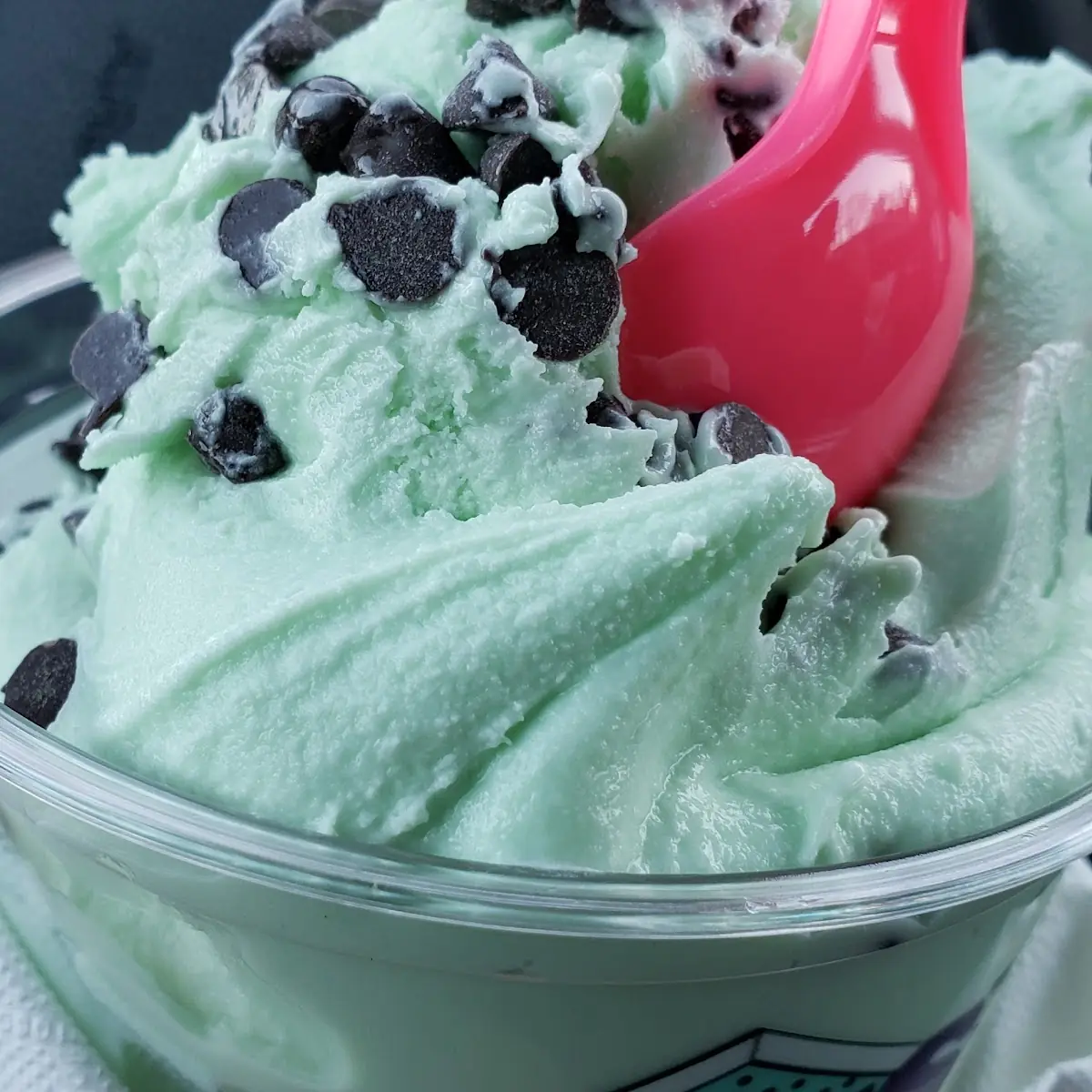 Chocolate Chip Mint