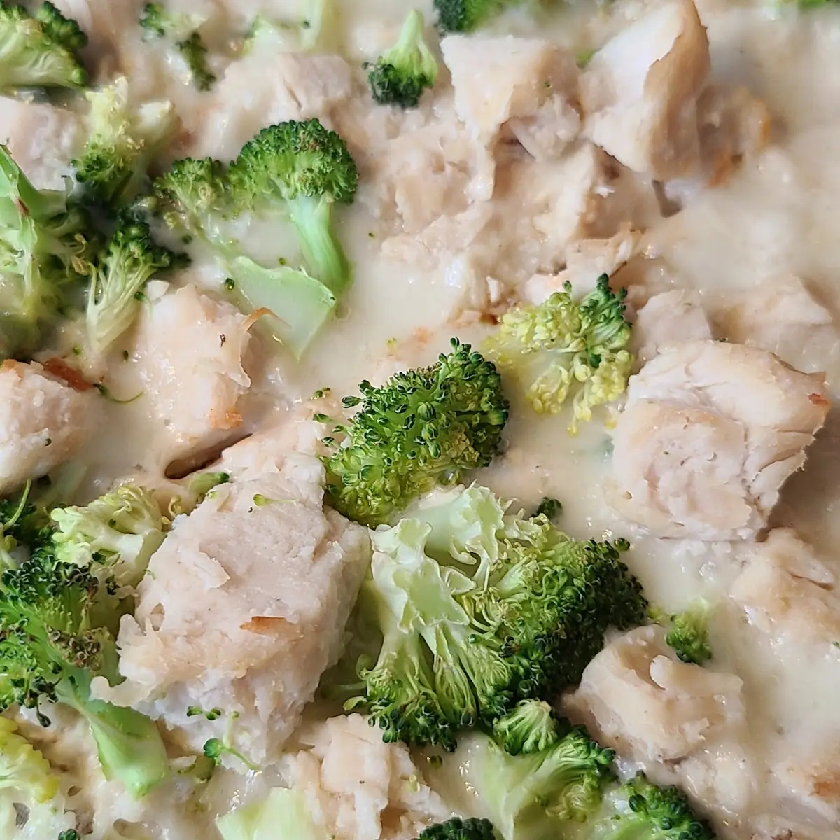 Ipie Chicken Alfredo Pizza