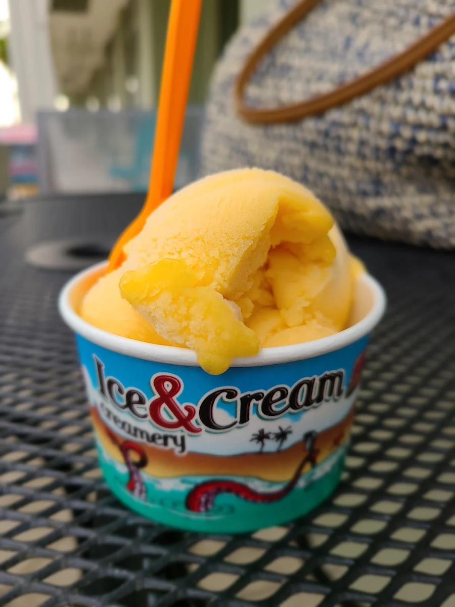 Mango Sorbet Dairy Free