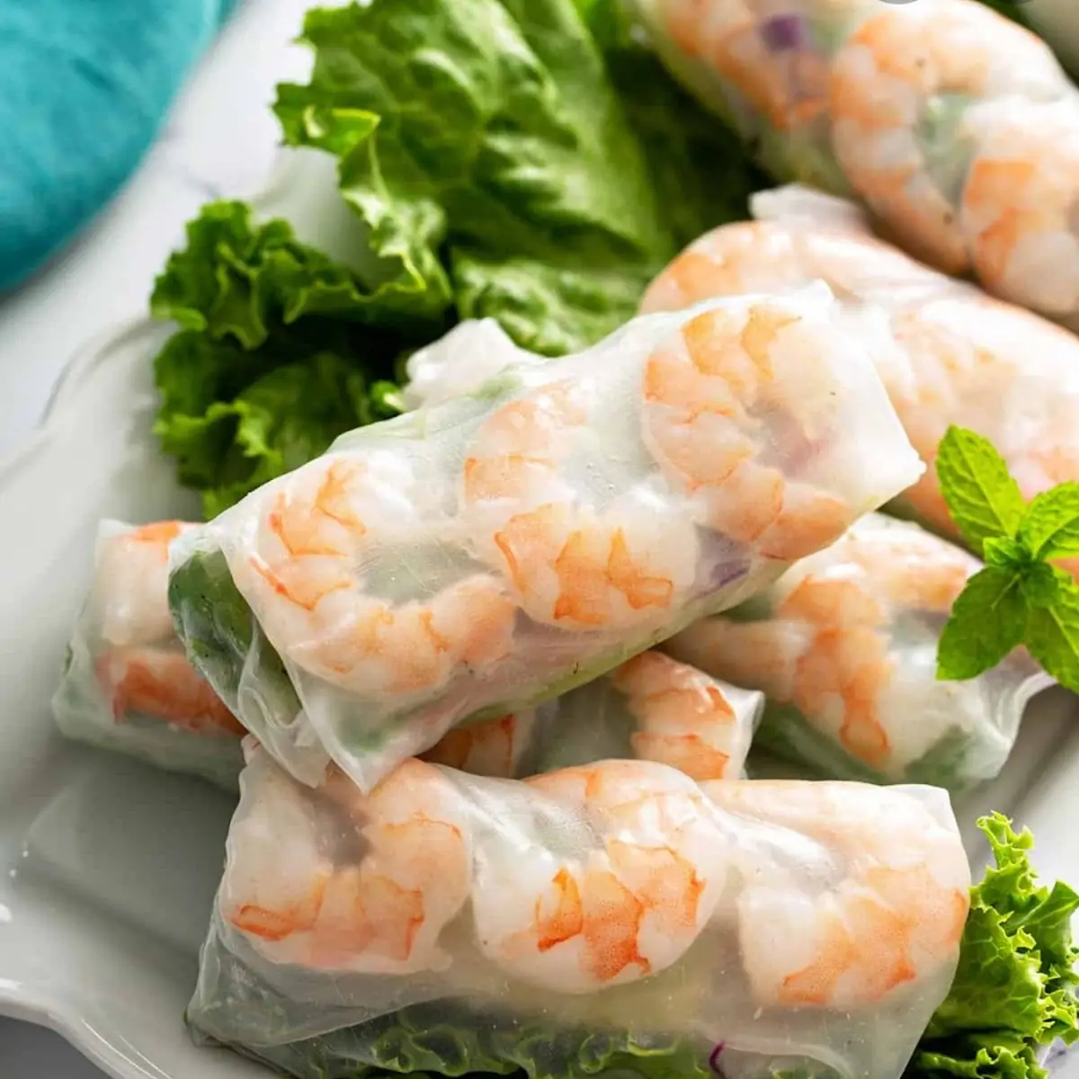Spring Rolls Goi Cuon