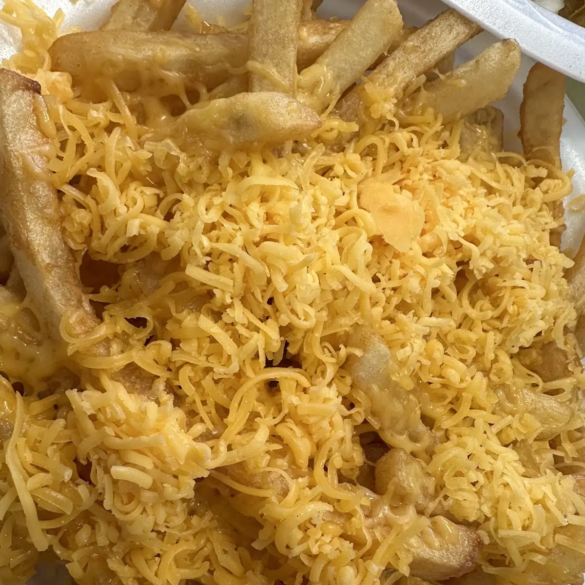 Cheese Fries