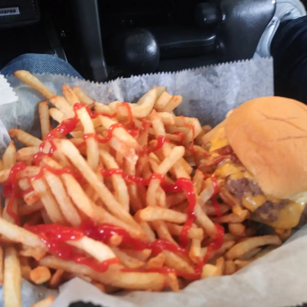 Cheese Burger and Fries