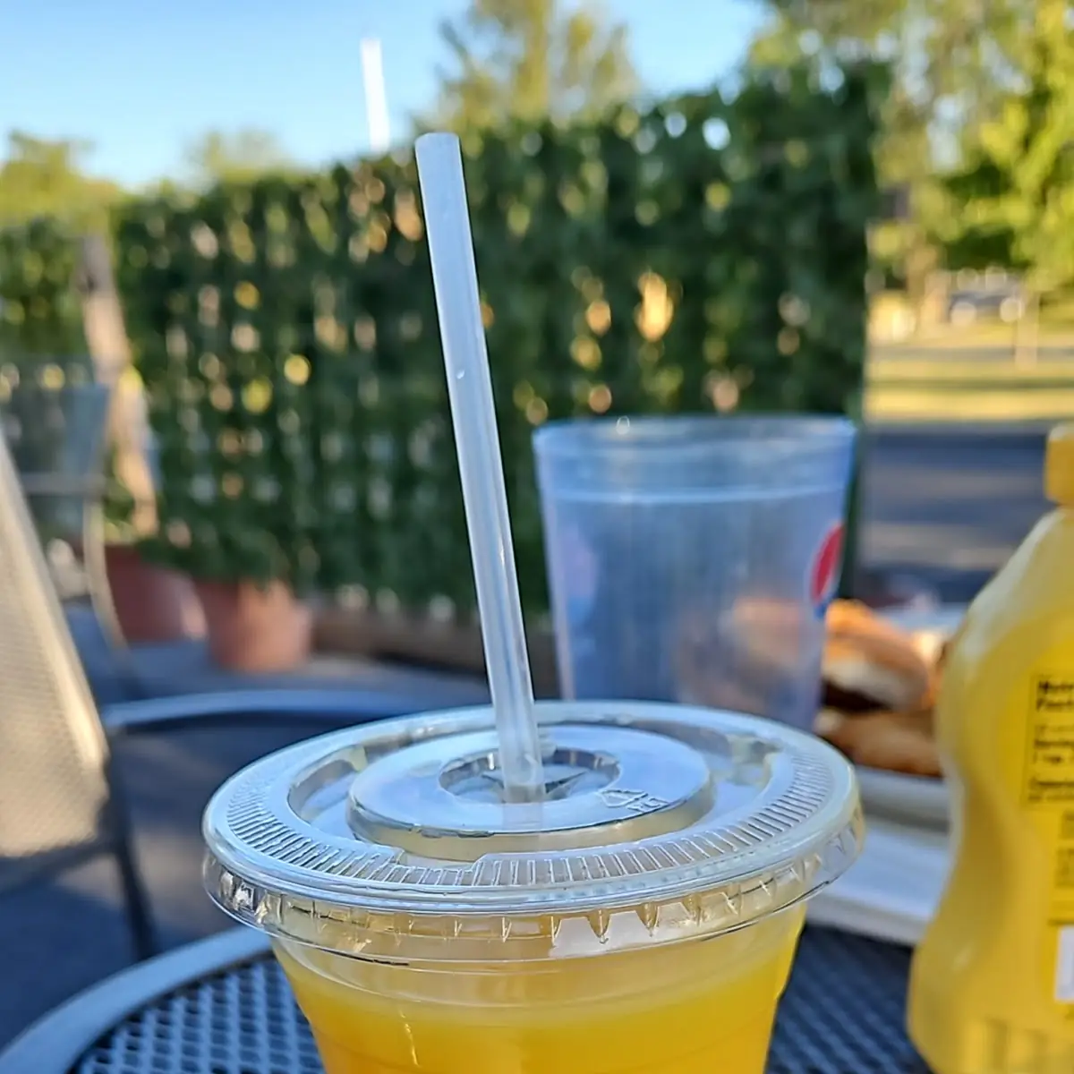 Fresh Squeezed Orange Juice