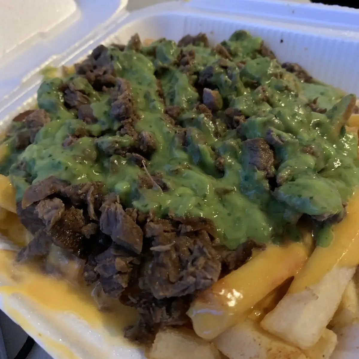 Carne Asada Fries