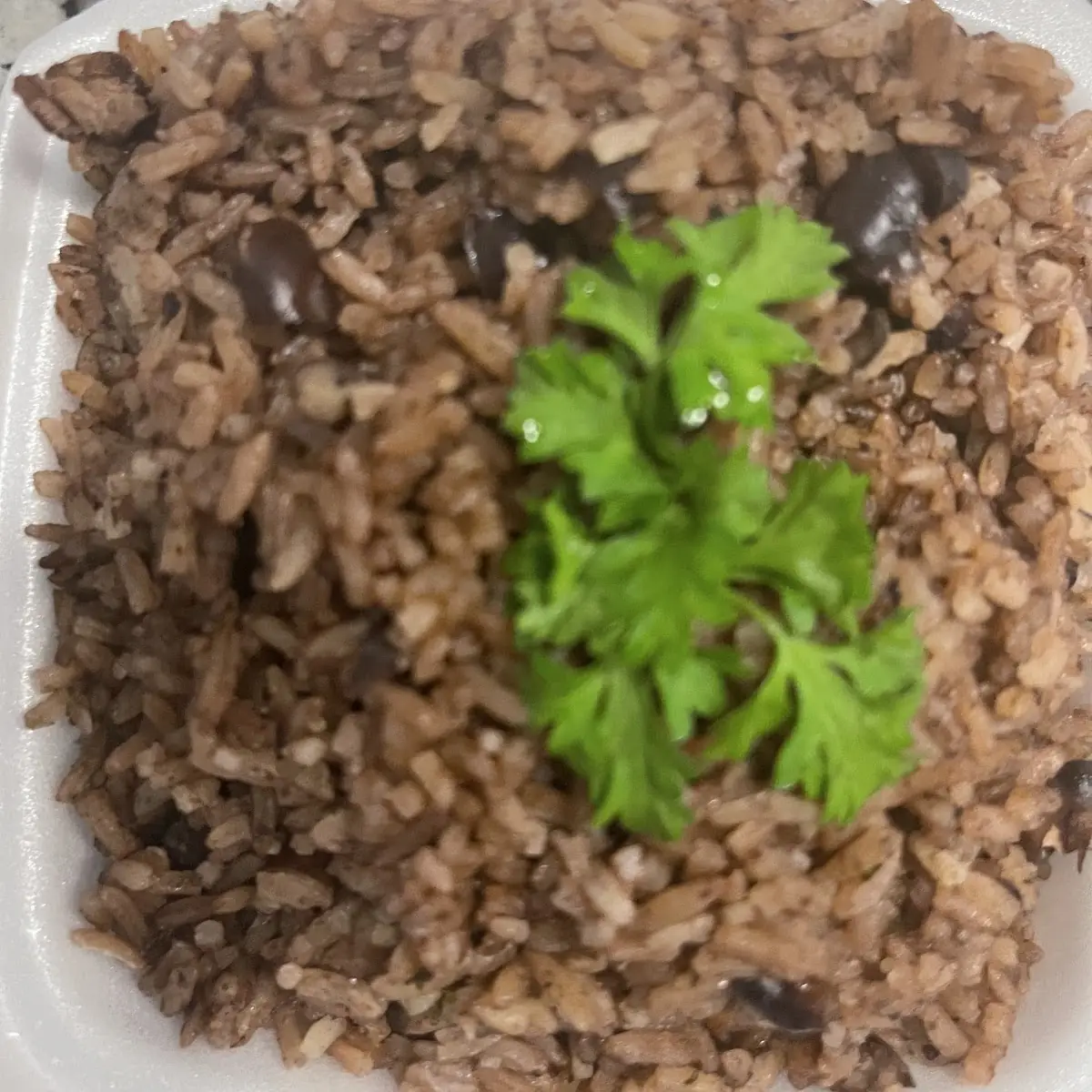 Rice & Beans Diri Kole