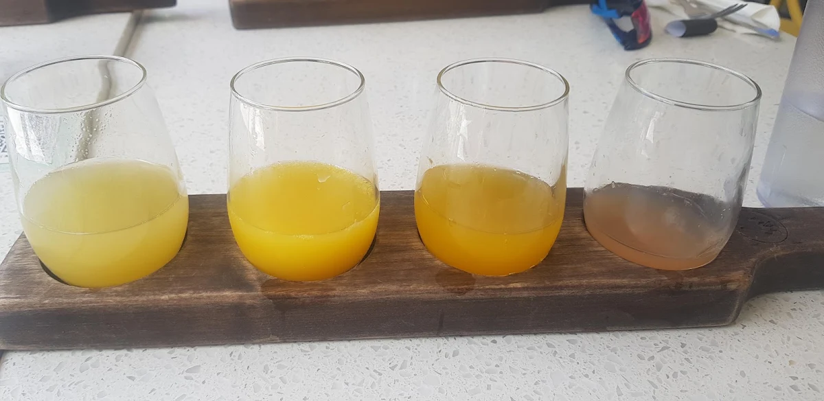Mimosa Flight