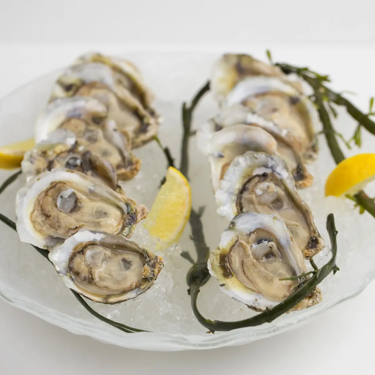 Oysters on the Half Shelf