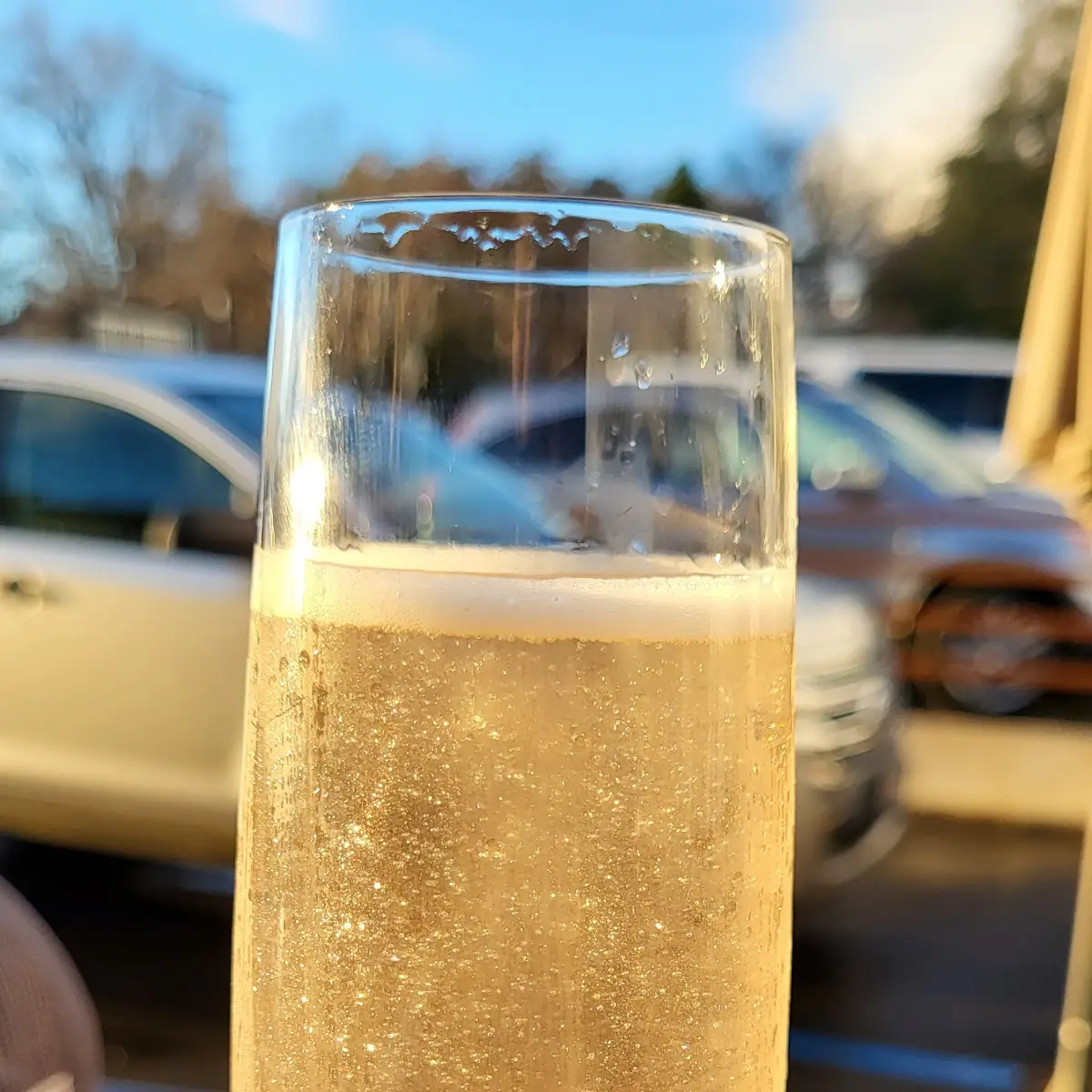 Sparkling Wine