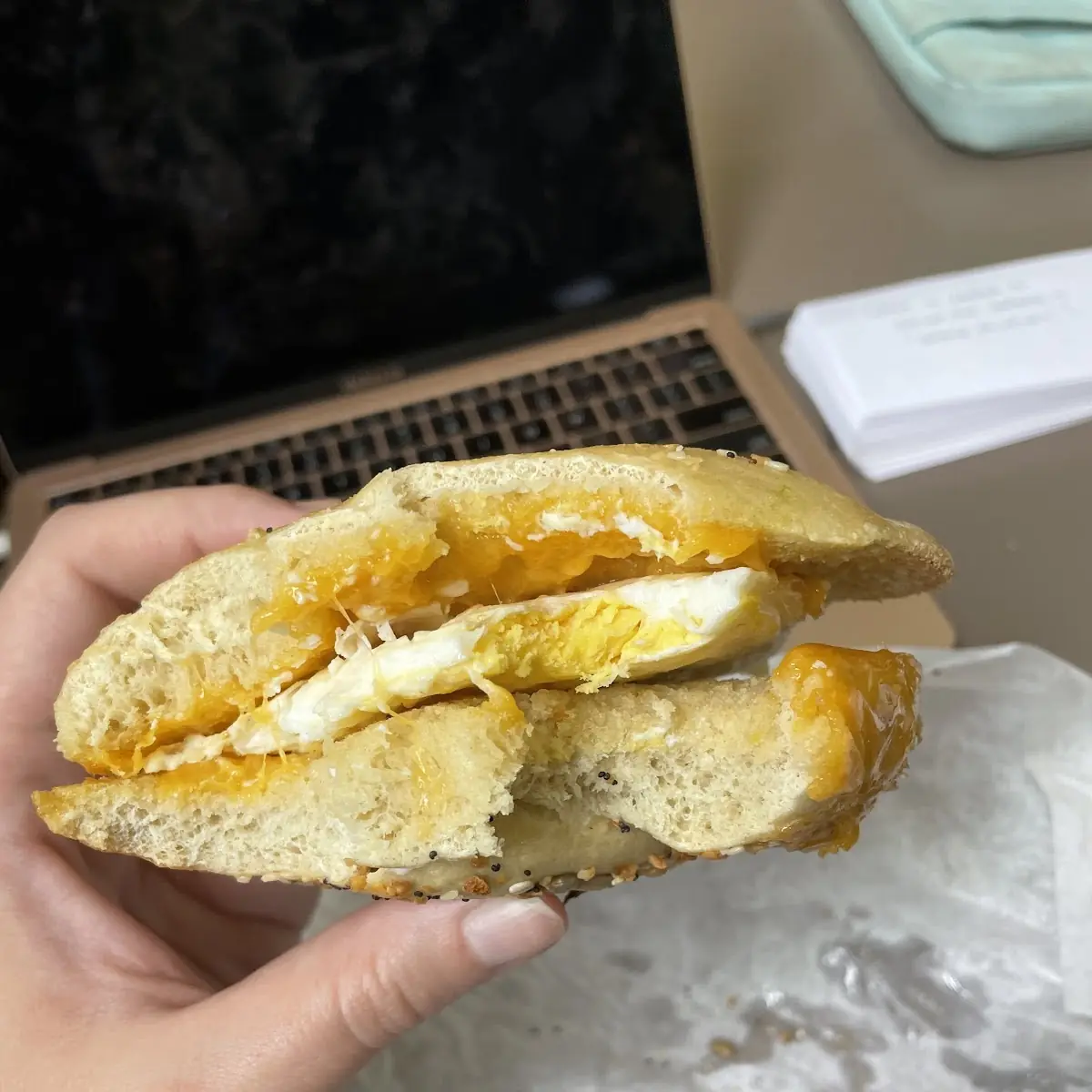 Every Seed Bagel with Egg and Cheddar Cheese