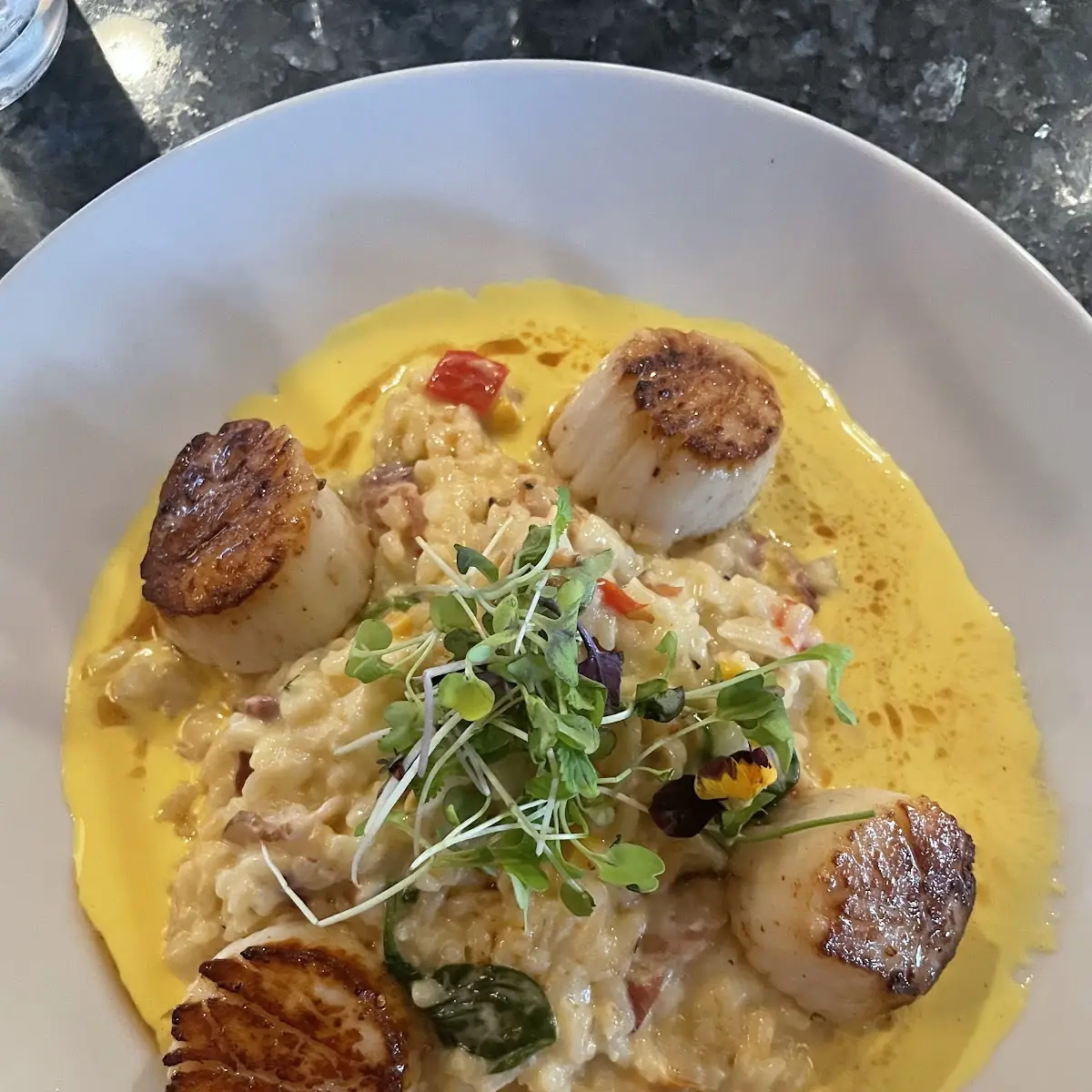 Seared Scallops with Risotto