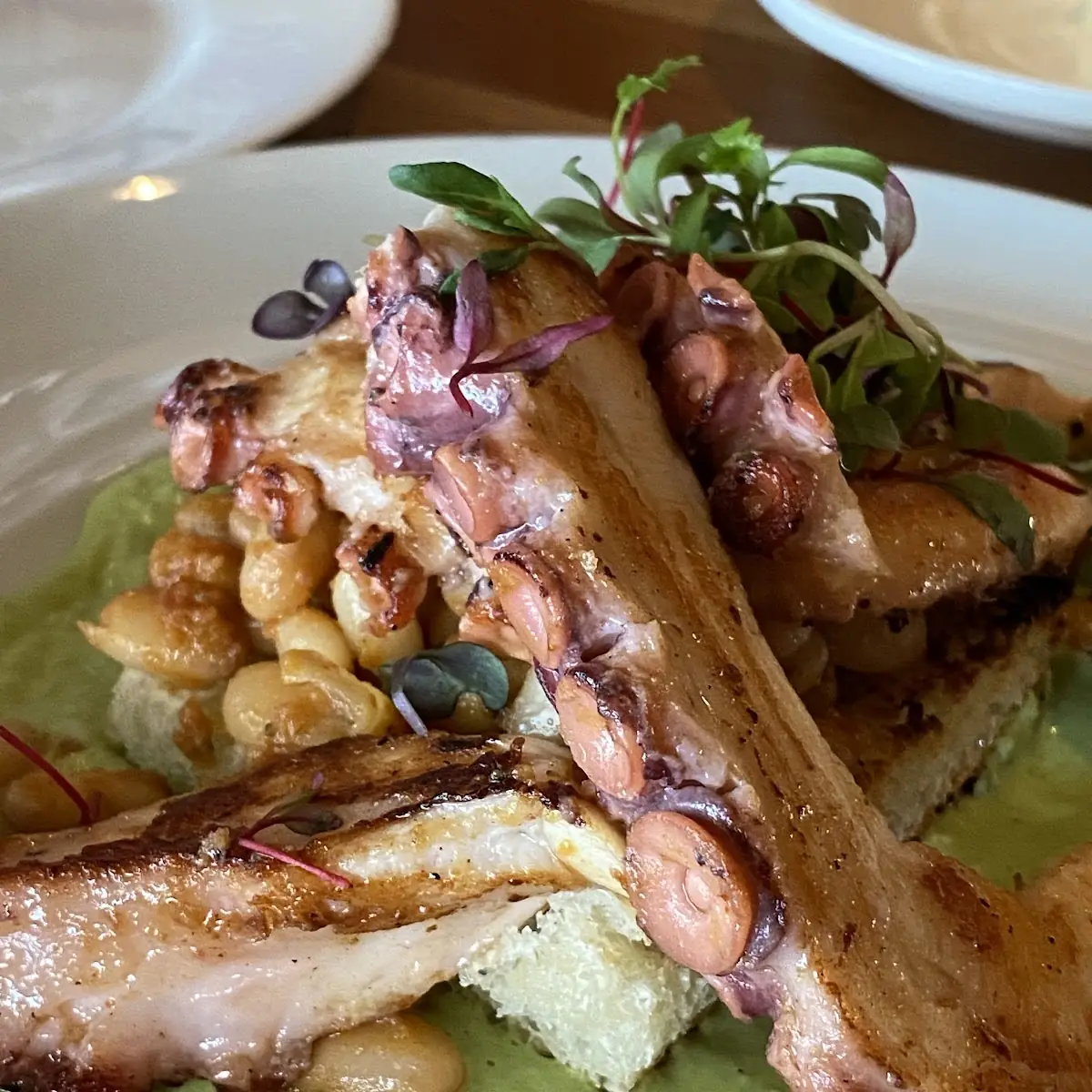 Grilled Octopus Nduja White Bean