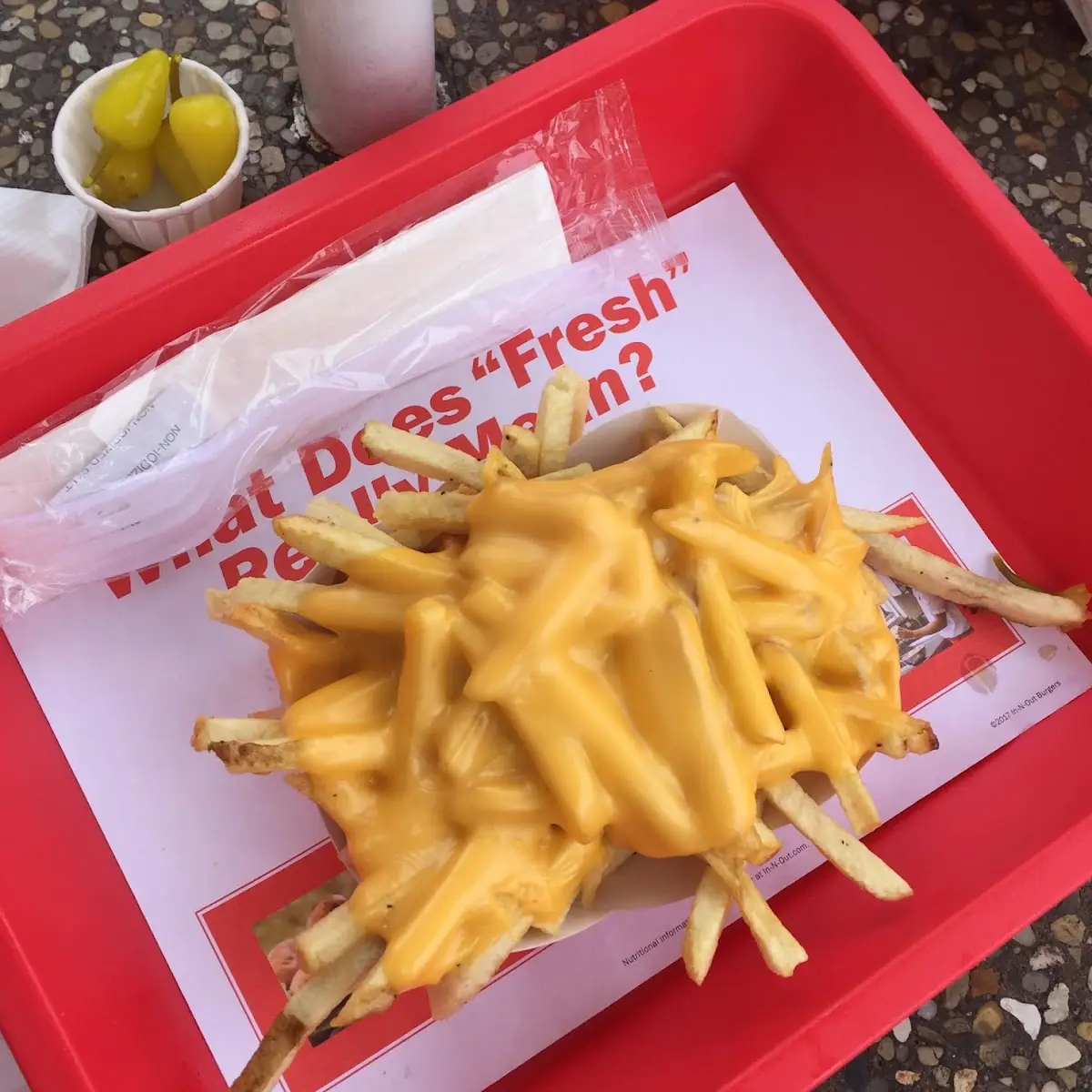 Cheese Fries