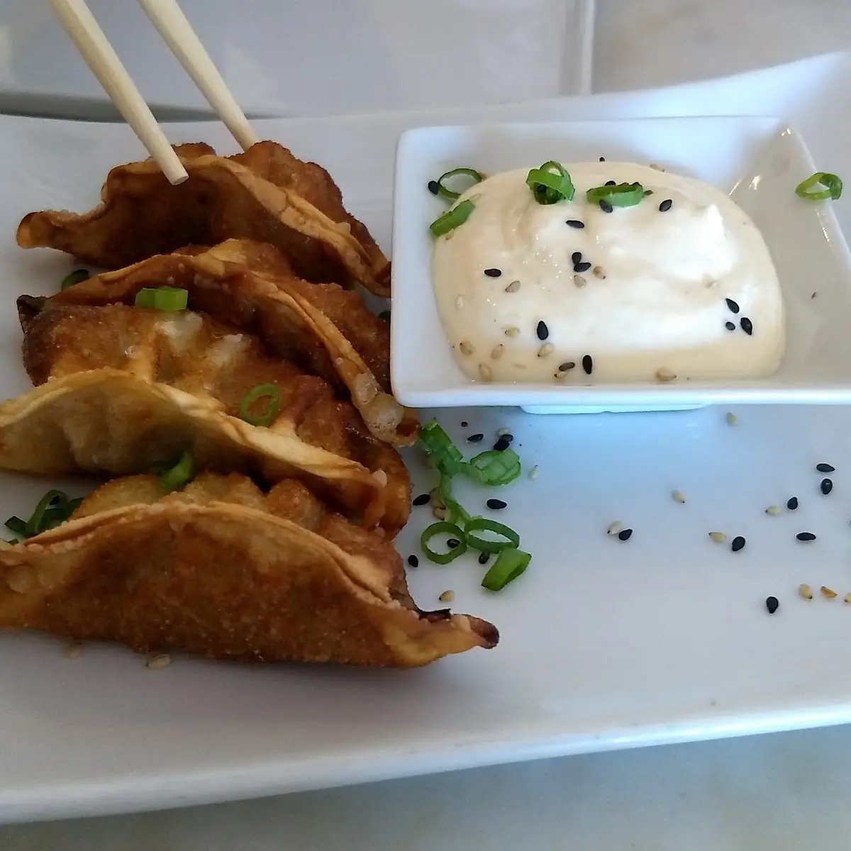 Fried Pork Dumplings