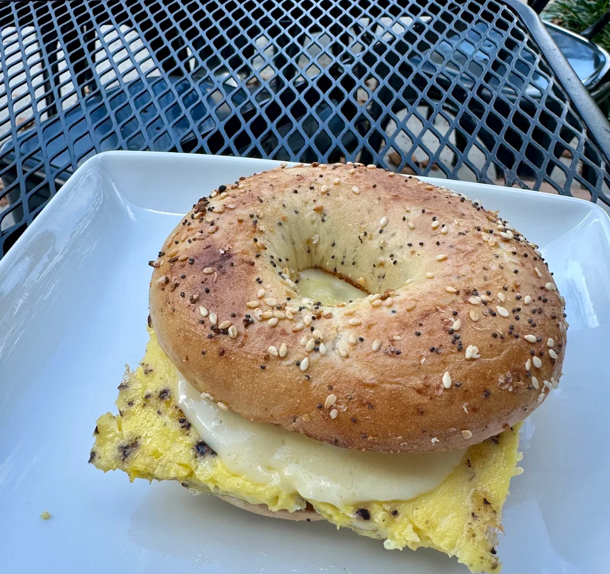 Toasted Everything Bagel