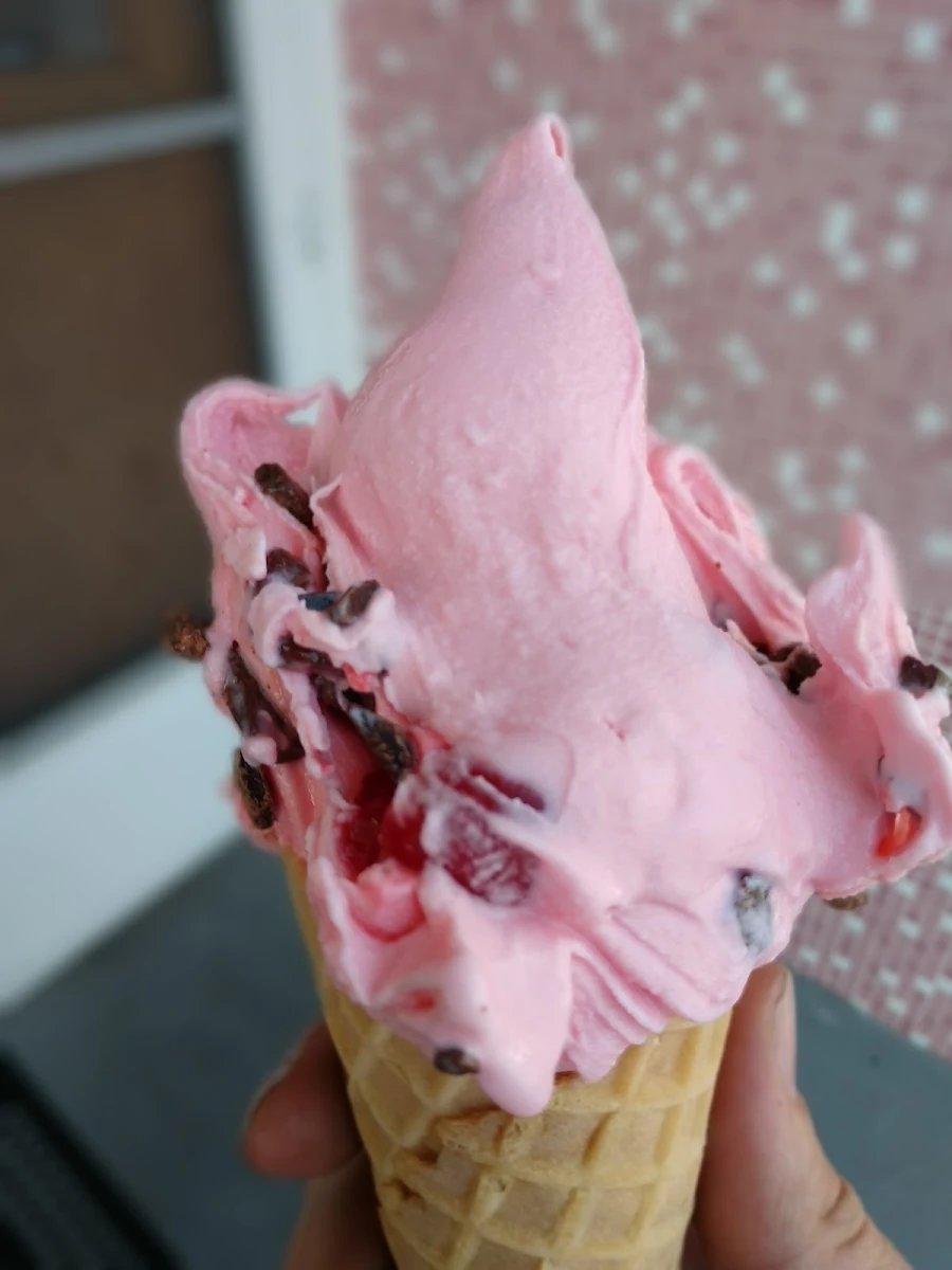 Cherry Chocolate Chip