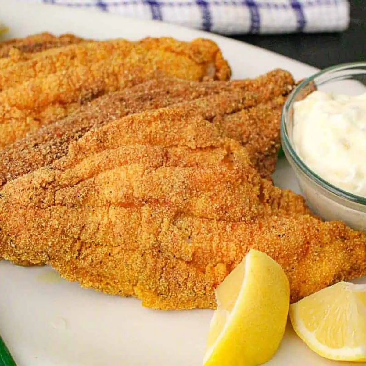 Catfish Fillet