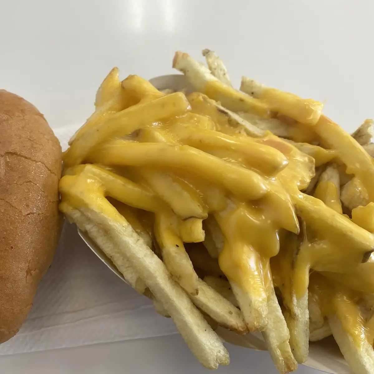 Cheese Fries and Plain Cheeseburger