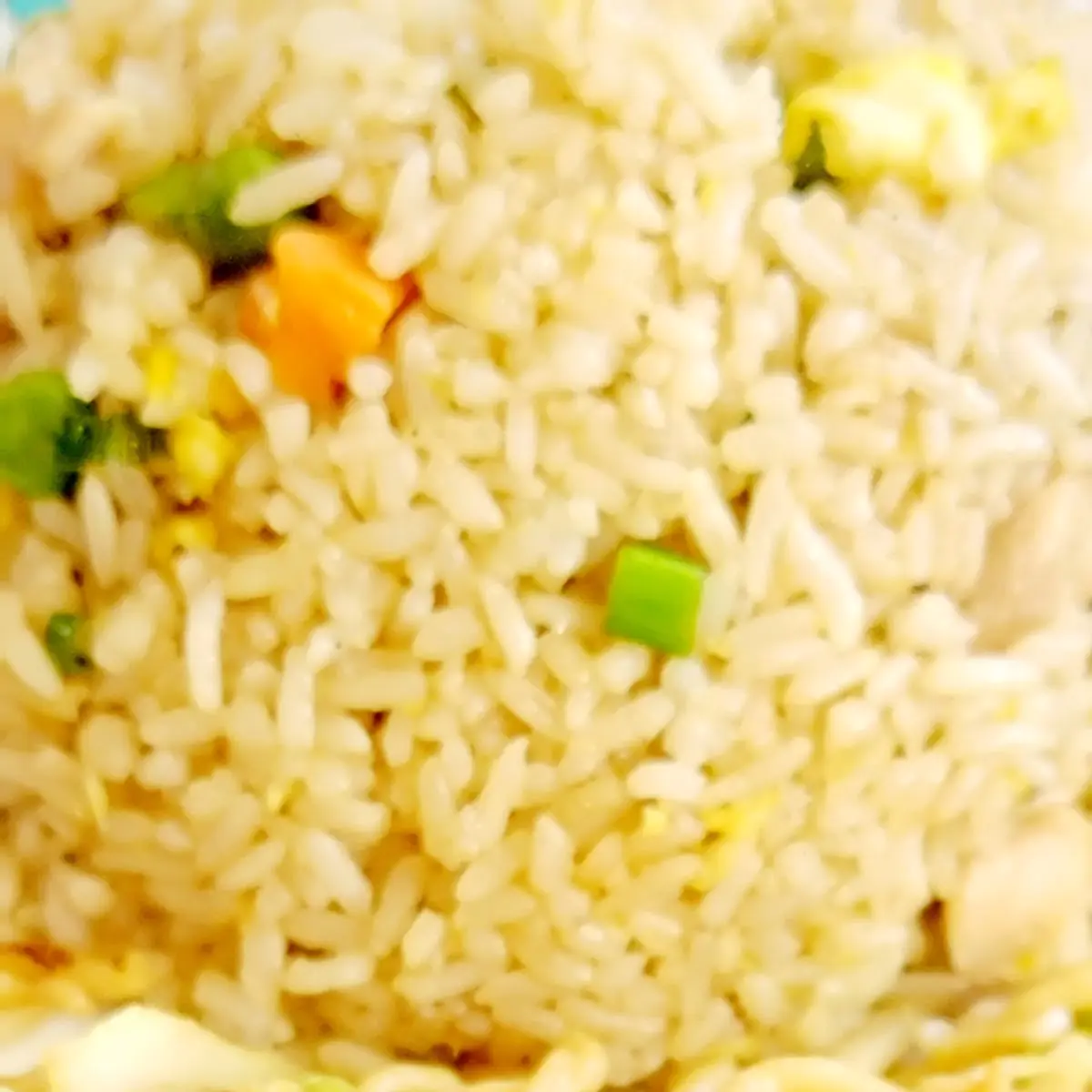 Chicken Chow Mein & Chicken Fried Rice
